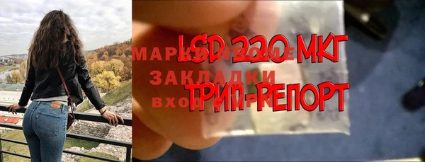 ПСИЛОЦИБИНОВЫЕ ГРИБЫ Алзамай