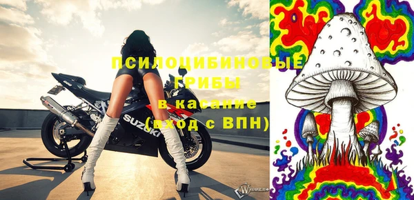 дживик Лихославль