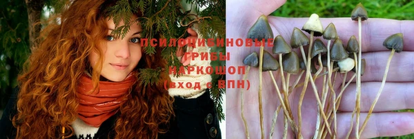 прущая мука Алексеевка