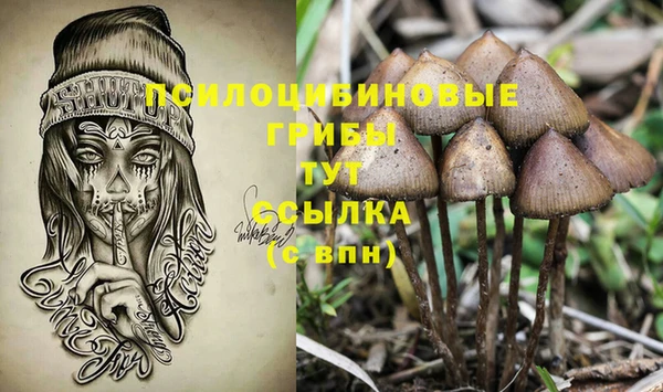 ПСИЛОЦИБИНОВЫЕ ГРИБЫ Алзамай
