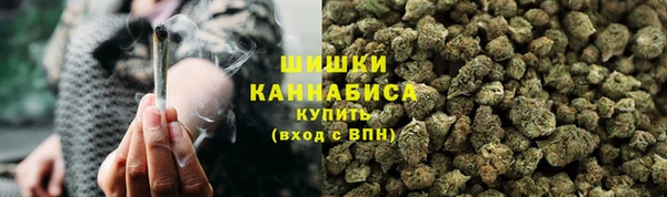 ПСИЛОЦИБИНОВЫЕ ГРИБЫ Алзамай